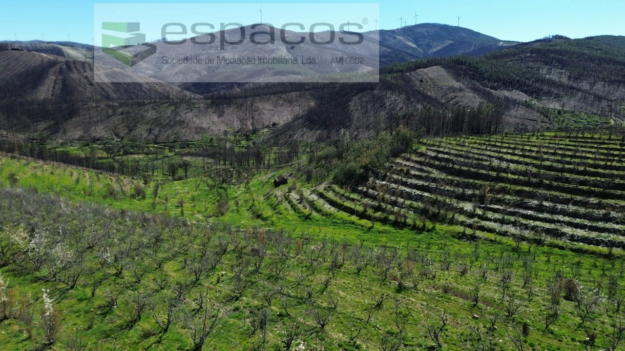 Terreno para Venda em Lavacolhos Foto 4