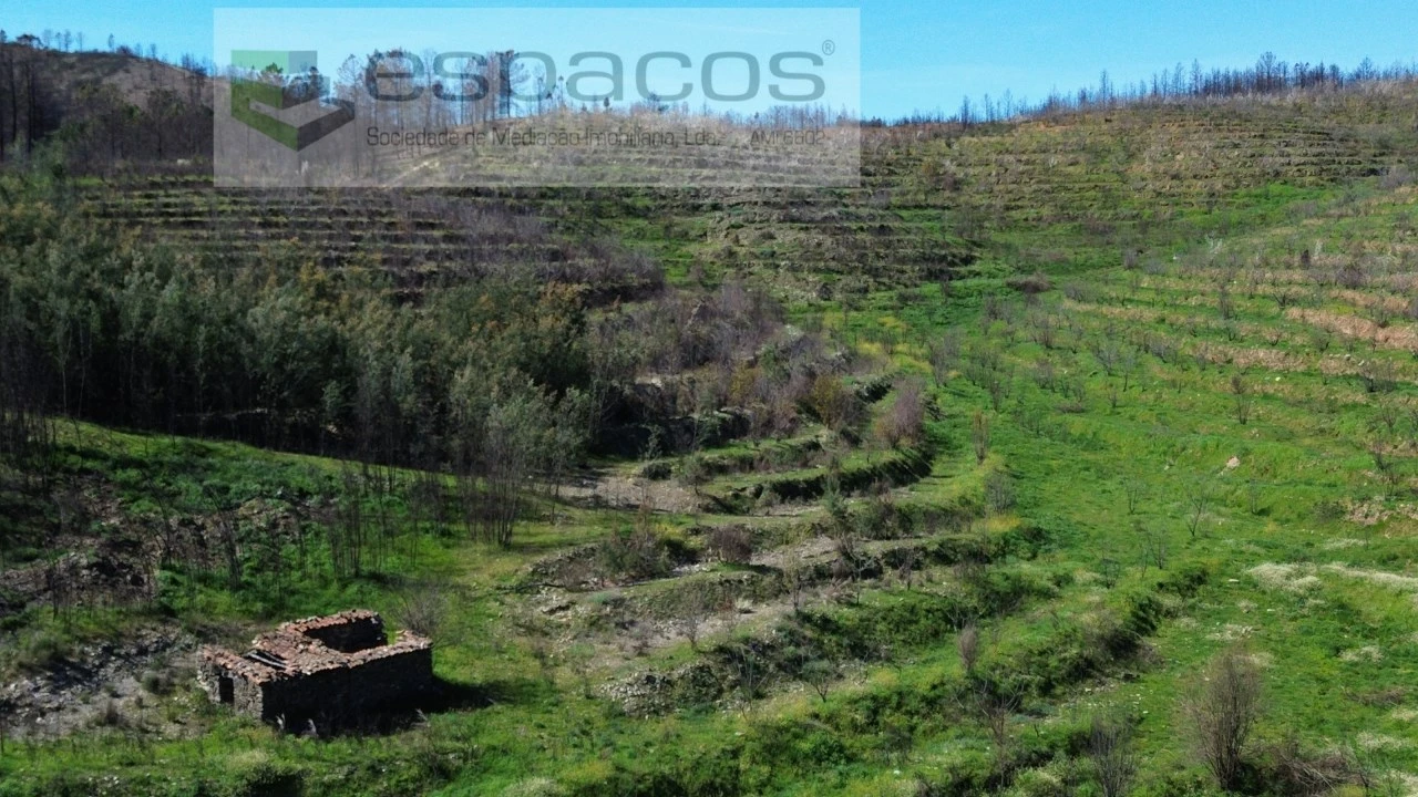 Terreno para Venda em Lavacolhos Foto 6