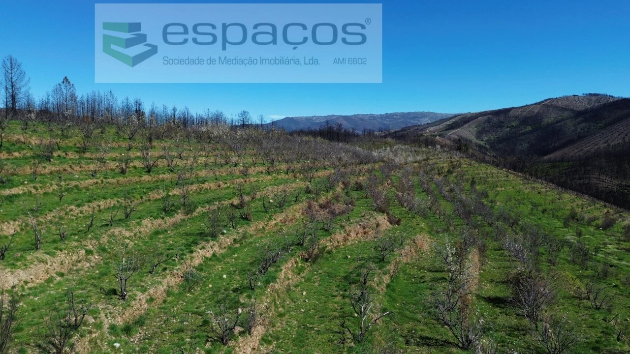 Terreno para Venda em Lavacolhos Foto 12
