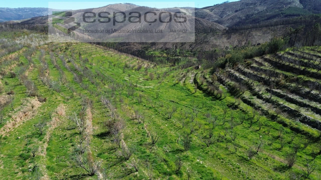 Terreno para Venda em Lavacolhos Foto 14