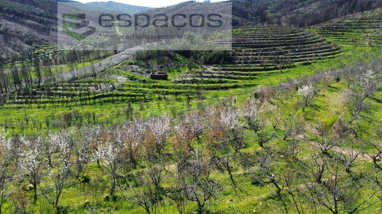 Terreno para Venda em Lavacolhos Foto 15