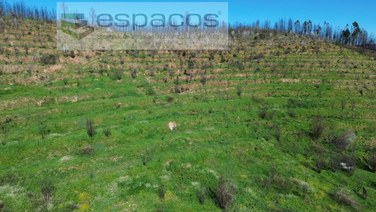 Terreno para Venda em Lavacolhos Foto 18