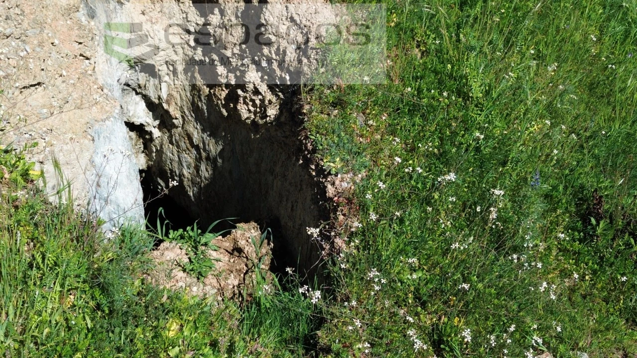 Terreno para Venda em Lavacolhos Foto 19