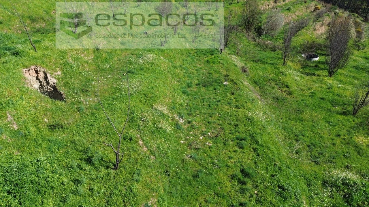 Terreno para Venda em Lavacolhos Foto 22