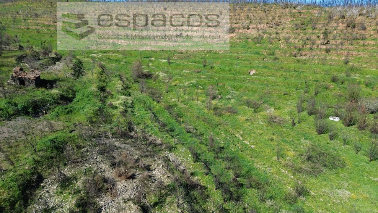Terreno para Venda em Lavacolhos Foto 23