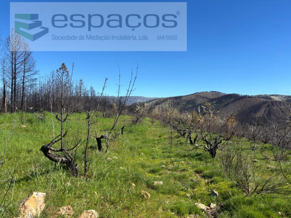 Terreno para Venda em Lavacolhos Foto 2