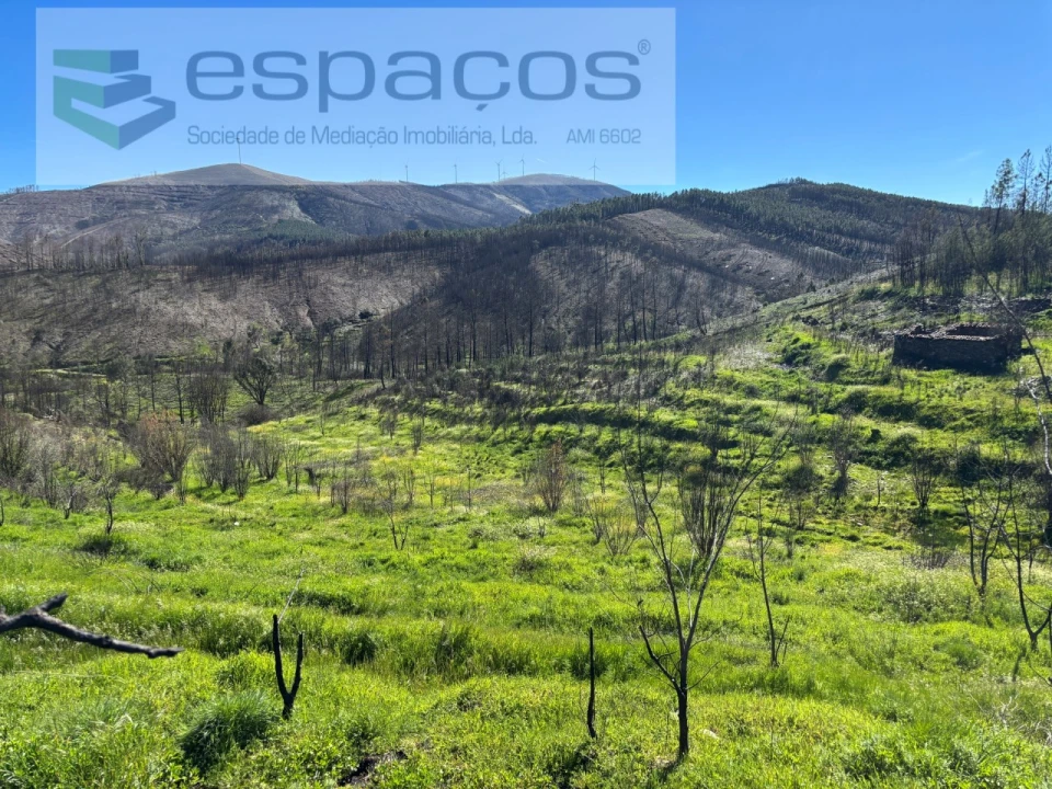 Terreno para Venda em Lavacolhos Foto 24