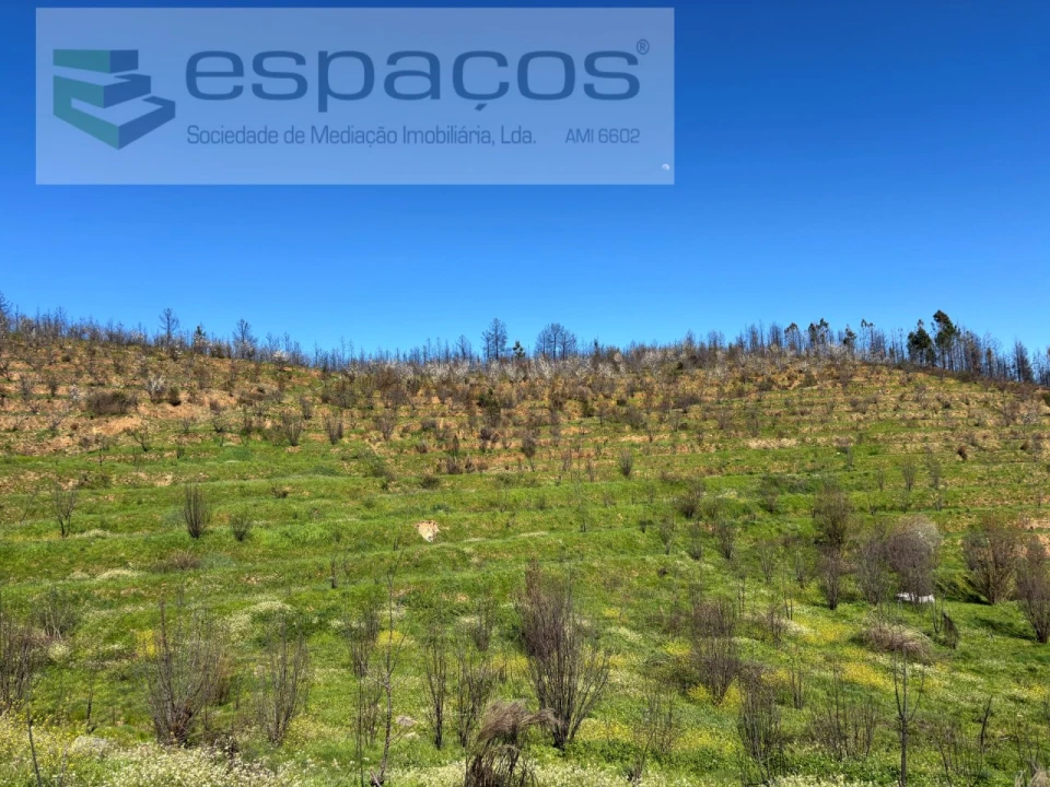 Terreno para Venda em Lavacolhos Foto 25