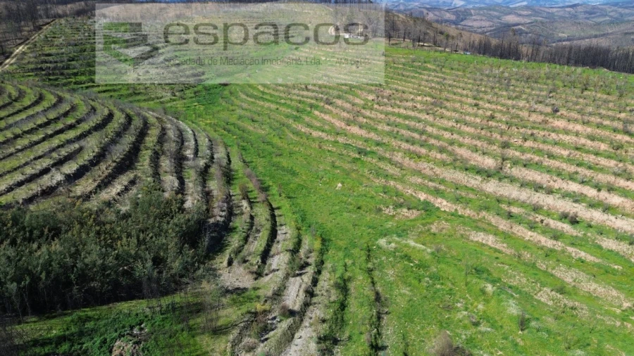 Terreno para Venda em Lavacolhos Foto 11