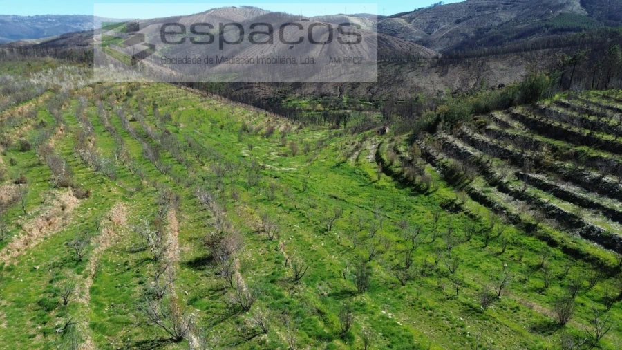 Terreno para Venda em Lavacolhos Foto 14