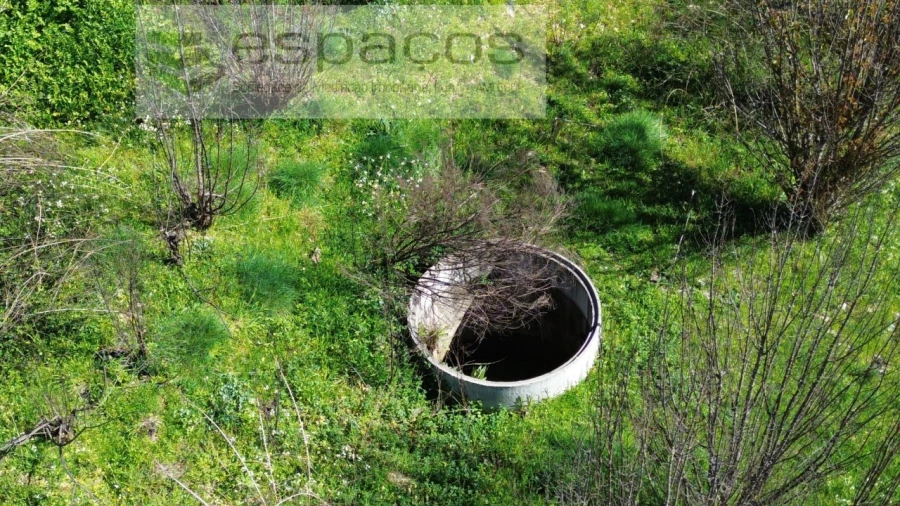 Terreno para Venda em Lavacolhos Foto 17