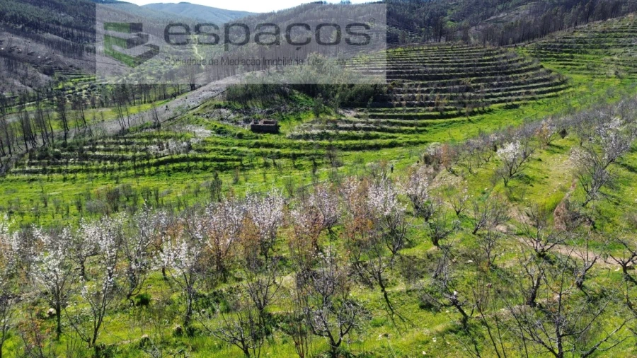 Terreno para Venda em Lavacolhos Foto 15