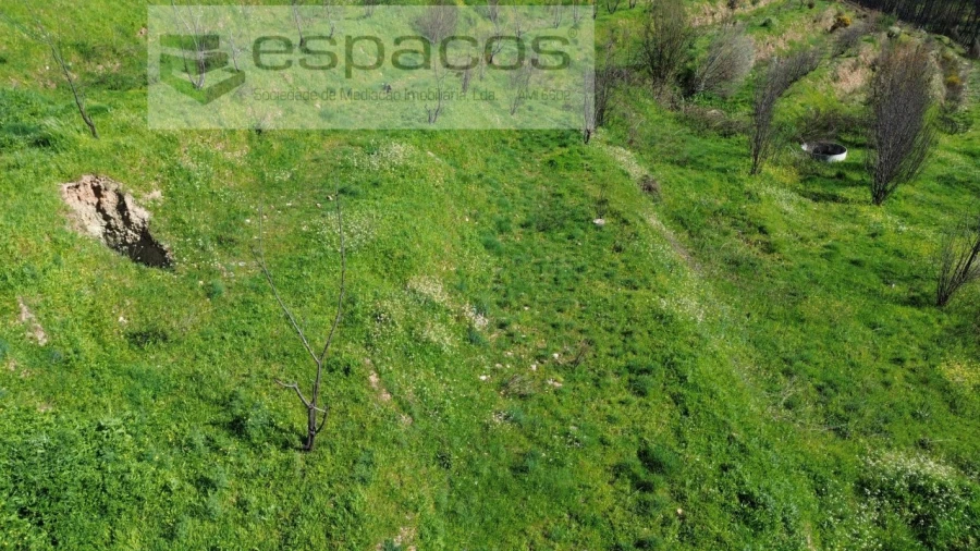 Terreno para Venda em Lavacolhos Foto 22