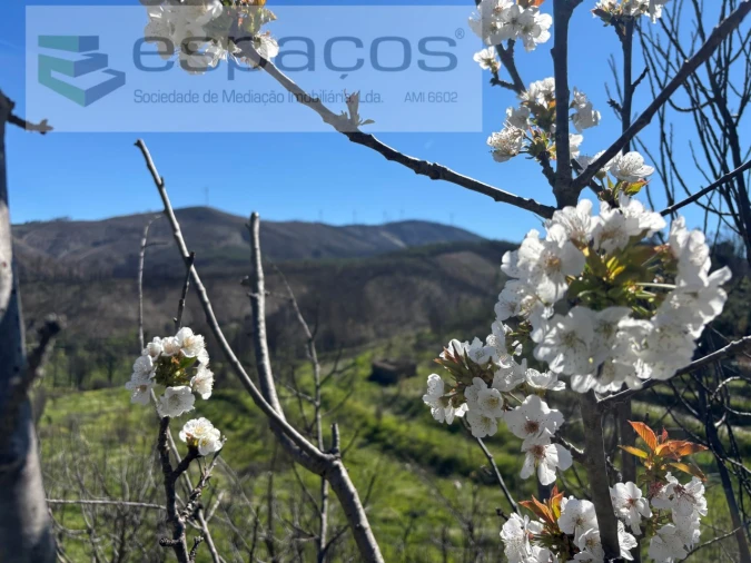Terreno para Venda em Lavacolhos Foto 5
