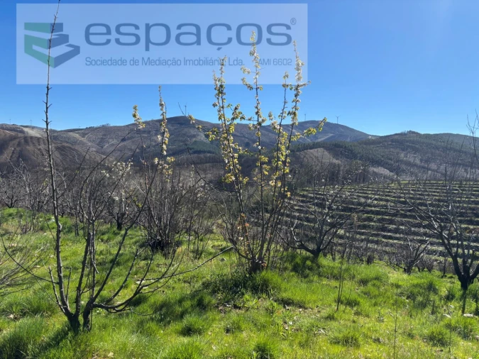 Terreno para Venda em Lavacolhos Foto 13