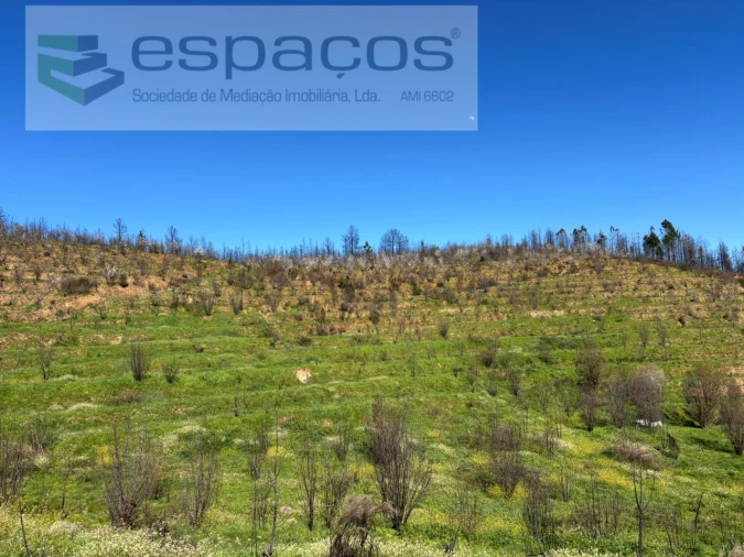 Terreno para Venda em Lavacolhos Foto 25