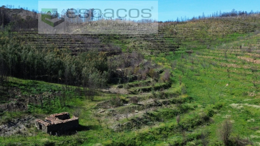 Terreno para Venda em Lavacolhos