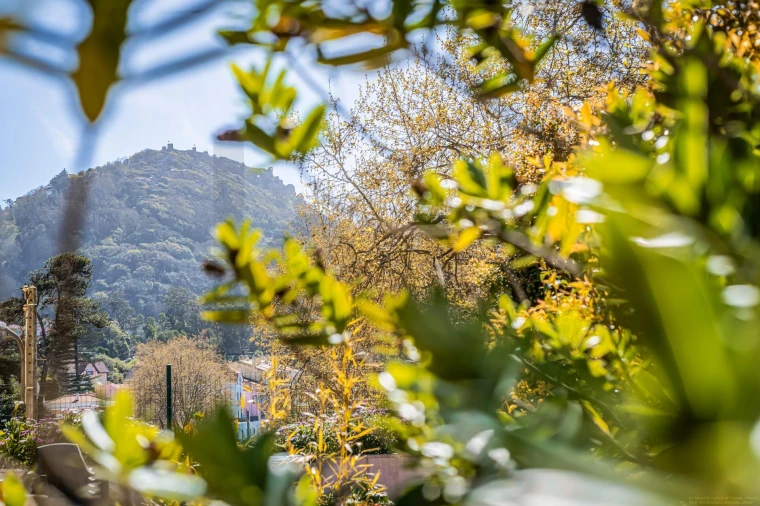 Apartamento T3 para Venda em Agualva e Mira-Sintra Foto 22