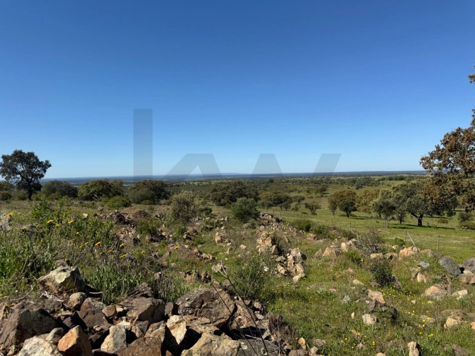 Quinta T3 para Venda em Alcaçovas Foto 16