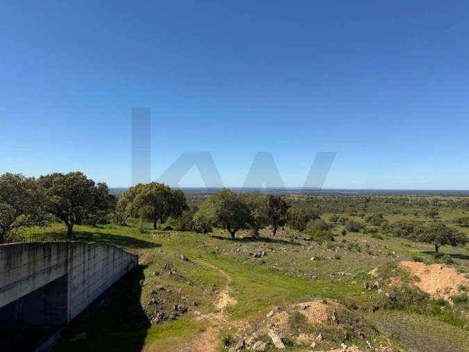 Quinta T3 para Venda em Alcaçovas Foto 30