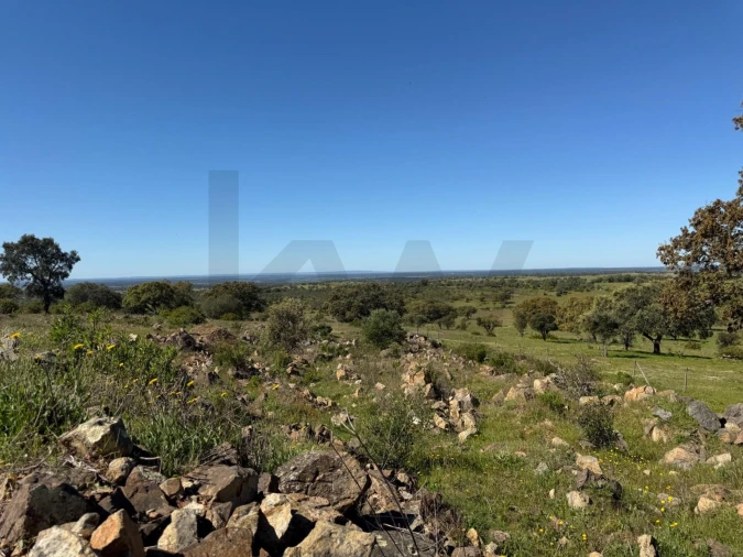 Quinta T3 para Venda em Alcaçovas Foto 16