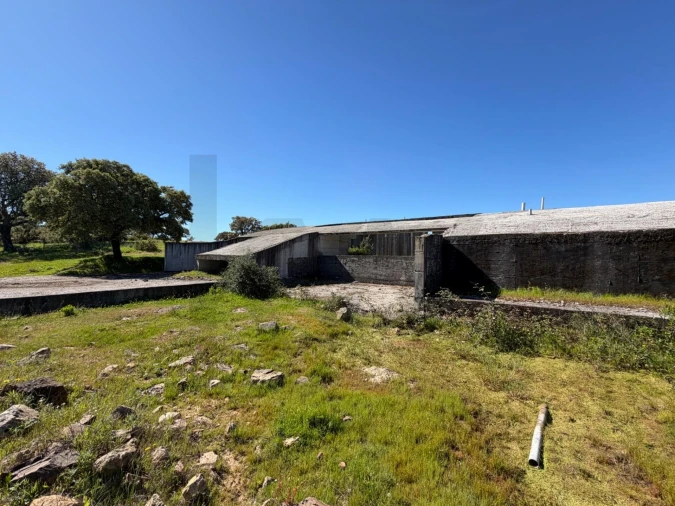 Quinta T3 para Venda em Alcaçovas Foto 7