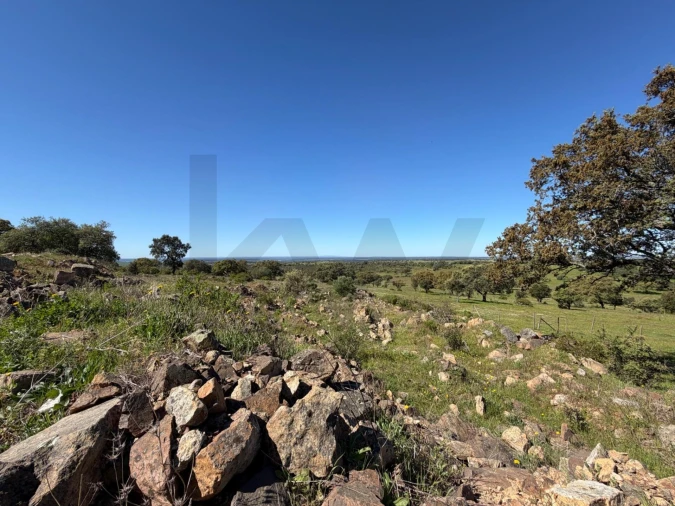 Quinta T3 para Venda em Alcaçovas Foto 15