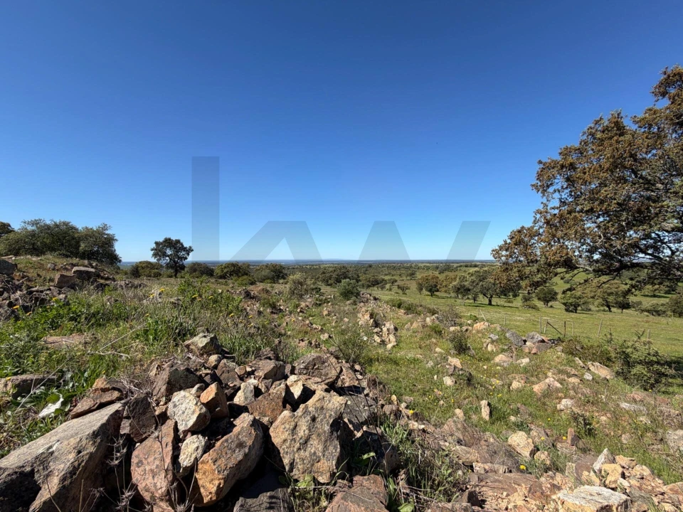 Quinta T3 para Venda em Alcaçovas Foto 15