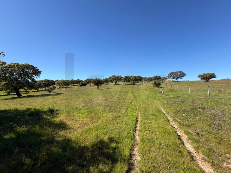 Quinta T3 para Venda em Alcaçovas Foto 2