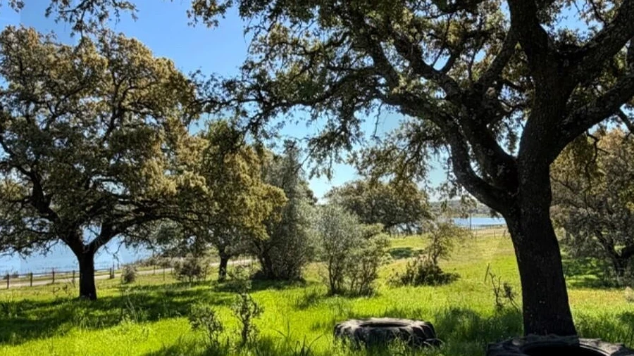 Quinta T3 para Venda em Alcaçovas