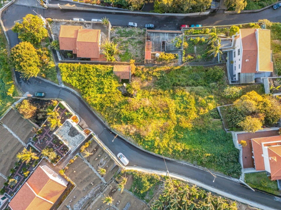 Terreno para Venda em São Martinho Foto 11