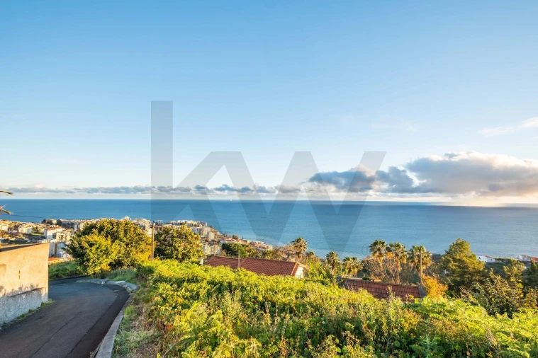 Terreno para Venda em São Martinho Foto 4