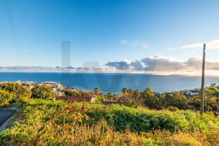 Terreno para Venda em São Martinho Foto 2