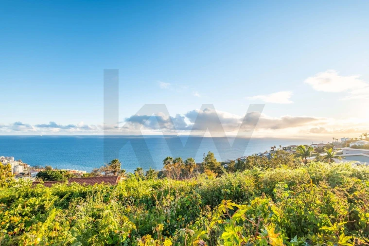 Terreno para Venda em São Martinho