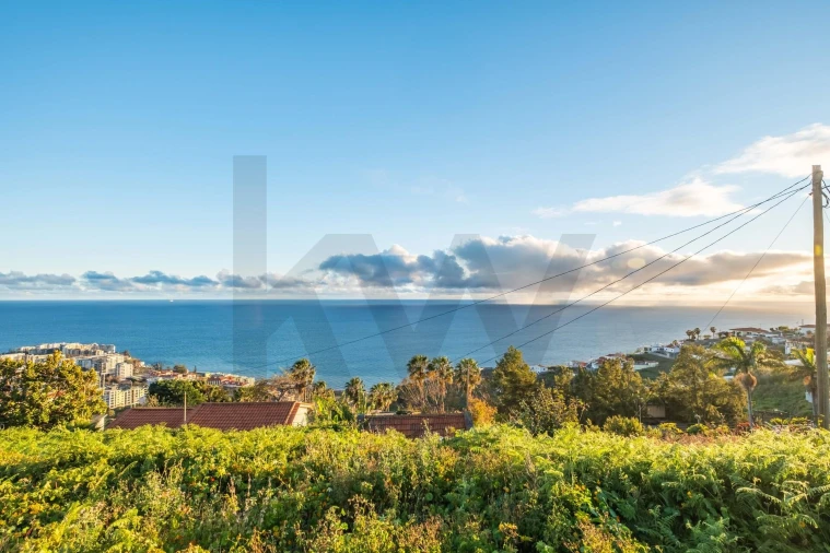 Terreno para Venda em São Martinho Foto 7