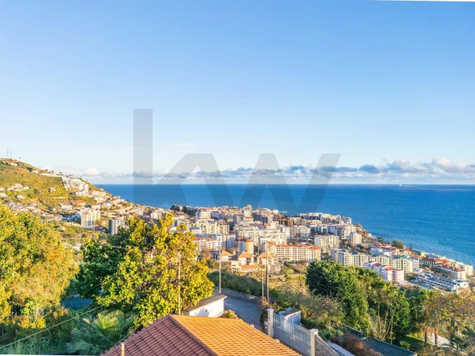 Terreno para Venda em São Martinho Foto 5