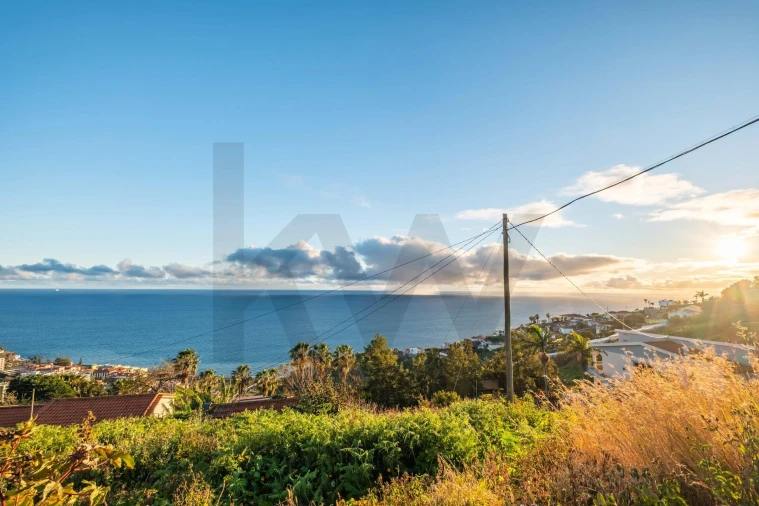 Terreno para Venda em São Martinho Foto 3
