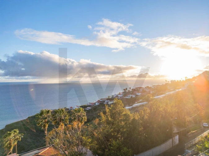 Terreno para Venda em São Martinho Foto 8