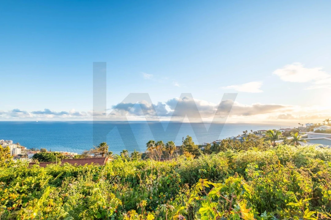 Terreno para Venda em São Martinho Foto 1