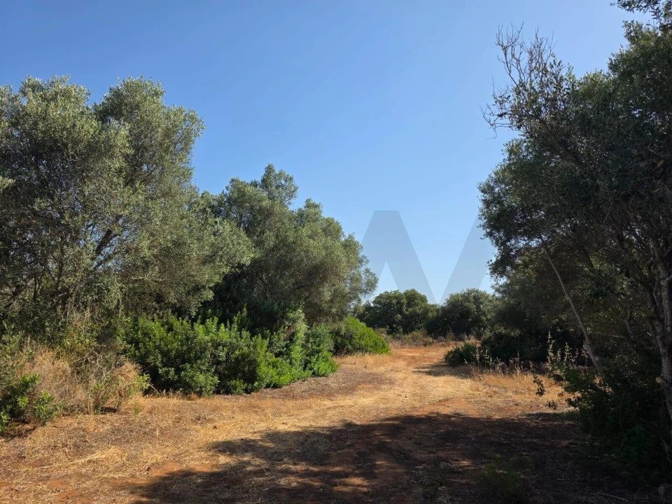 Terreno para Venda em Bensafrim e Barão de São João Foto 56