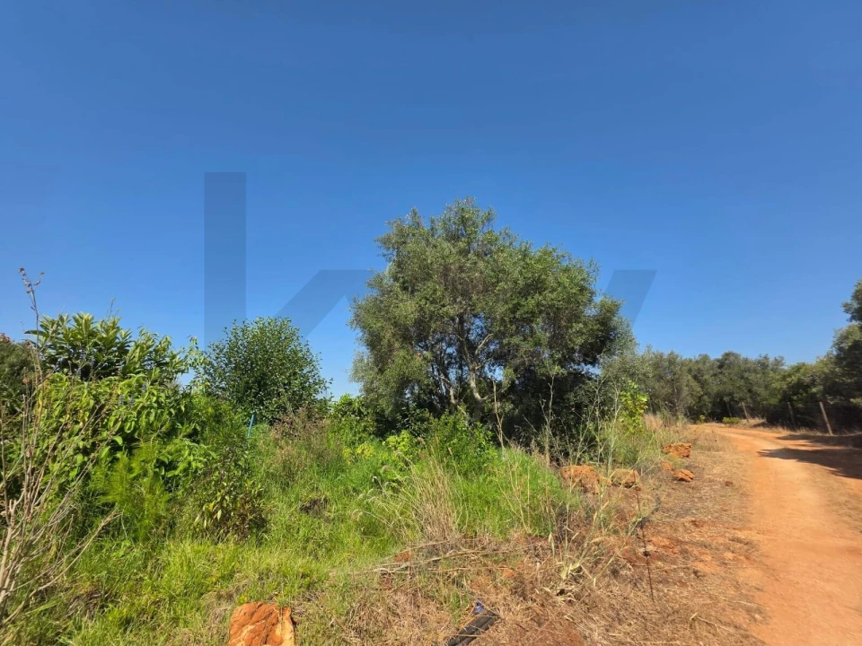 Terreno para Venda em Bensafrim e Barão de São João Foto 65