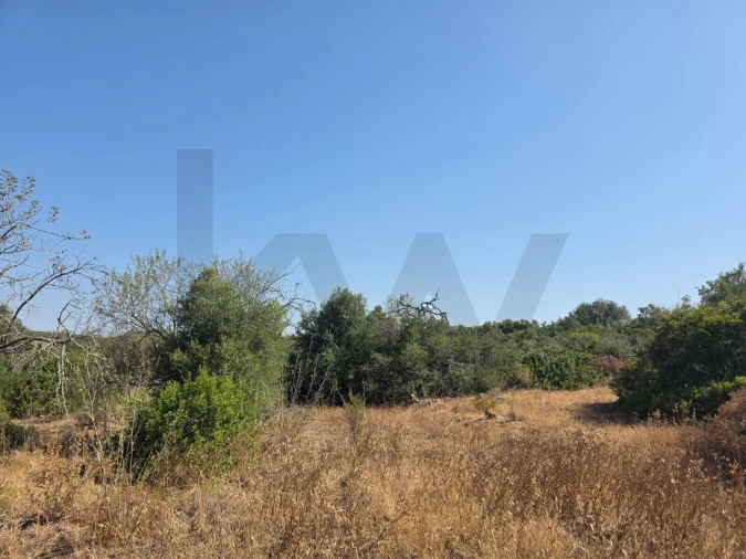 Terreno para Venda em Bensafrim e Barão de São João Foto 80