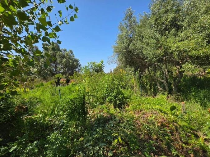 Terreno para Venda em Bensafrim e Barão de São João Foto 29