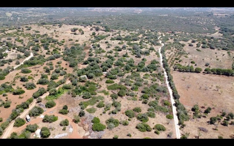 Terreno para Venda em Bensafrim e Barão de São João Foto 60