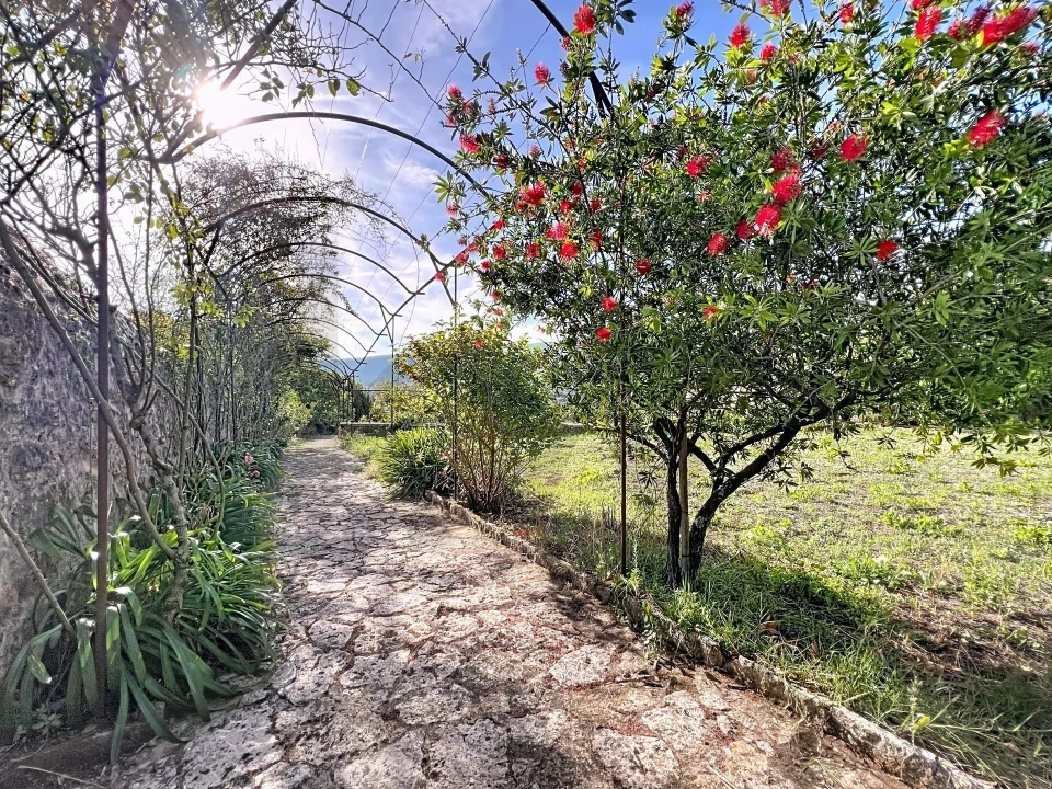 Moradia T5 para Venda em Alvaiázere Foto 90