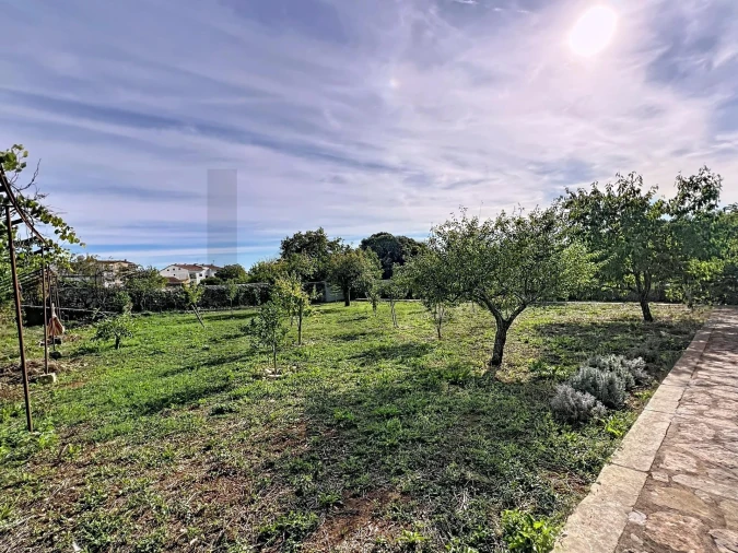 Moradia T5 para Venda em Alvaiázere Foto 95