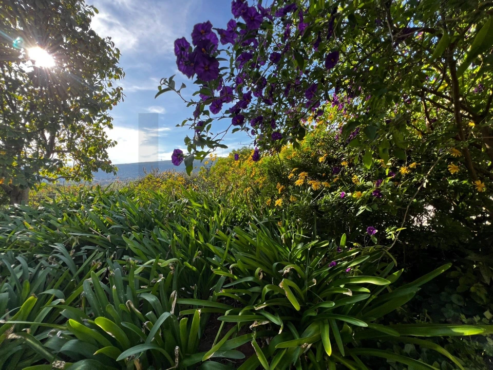 Moradia T5 para Venda em Alvaiázere Foto 91