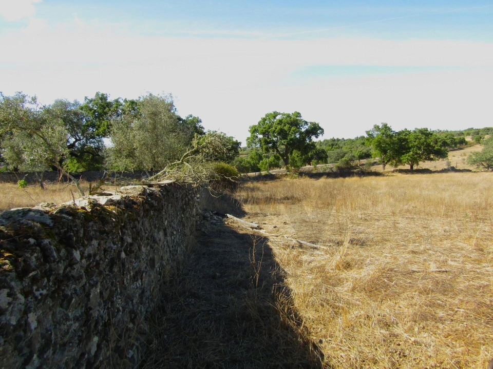 Terreno para Venda em São Matias Foto 12