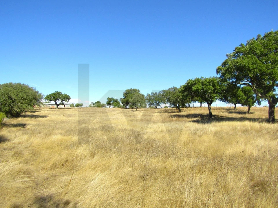 Terreno para Venda em São Matias Foto 16