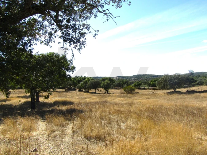 Terreno para Venda em São Matias Foto 17